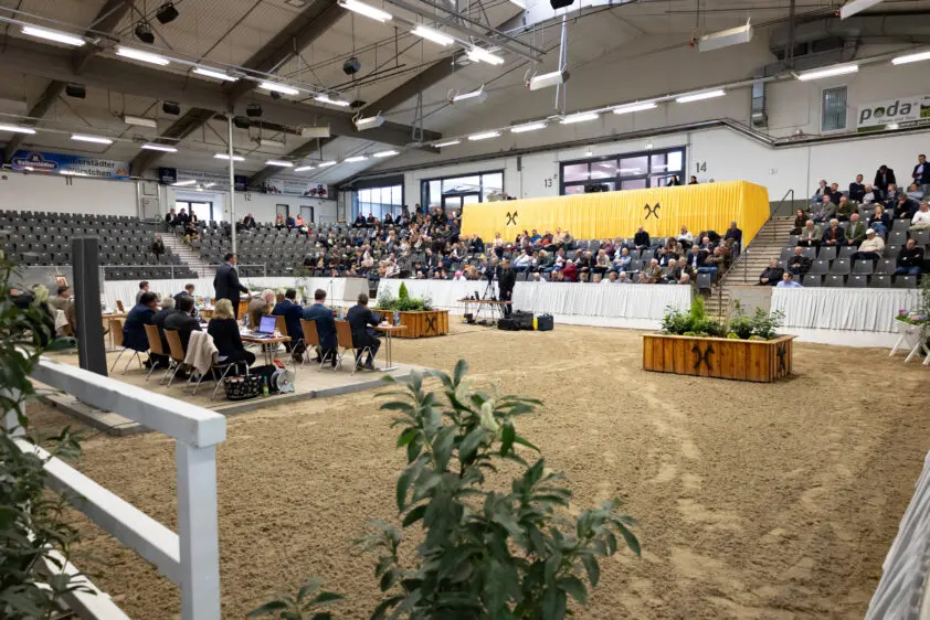 Hannover stelt hengstenkeuring (eindelijk) open voor hengsten van andere stamboeken featured image