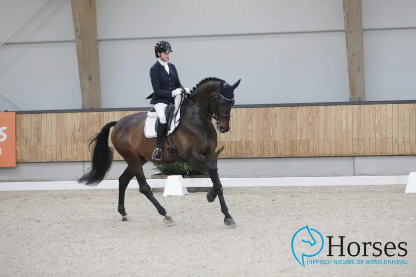 Geen kampioenschappen voor dressuuramazone Laura Zwart featured image
