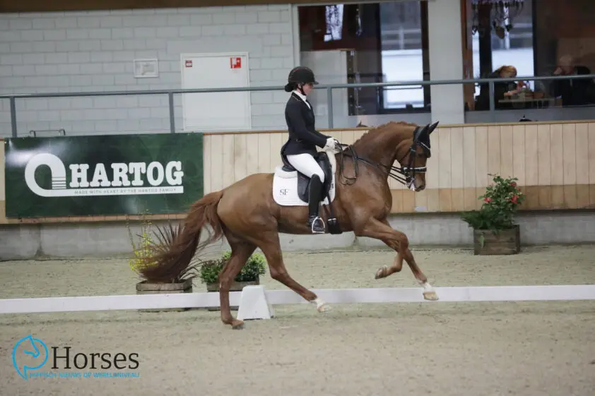 Stephanie de Frel met Lolita tweede bij internationaal debuut in Inter II Le Mans featured image