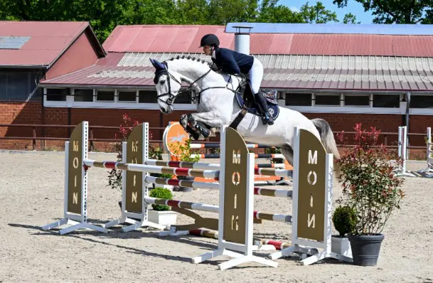 PS Online: 117.000 euro voor Chacfly-ruin featured image