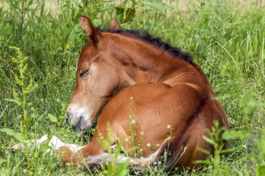 Hebben fokwaarden wel zin?  featured image