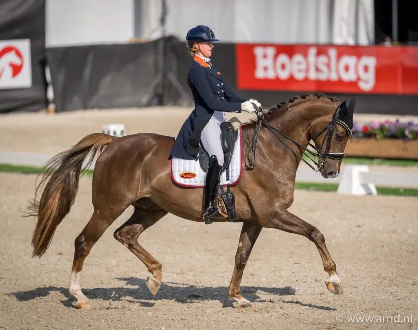 Alle Subtopuitslagen op rij: week 10 featured image