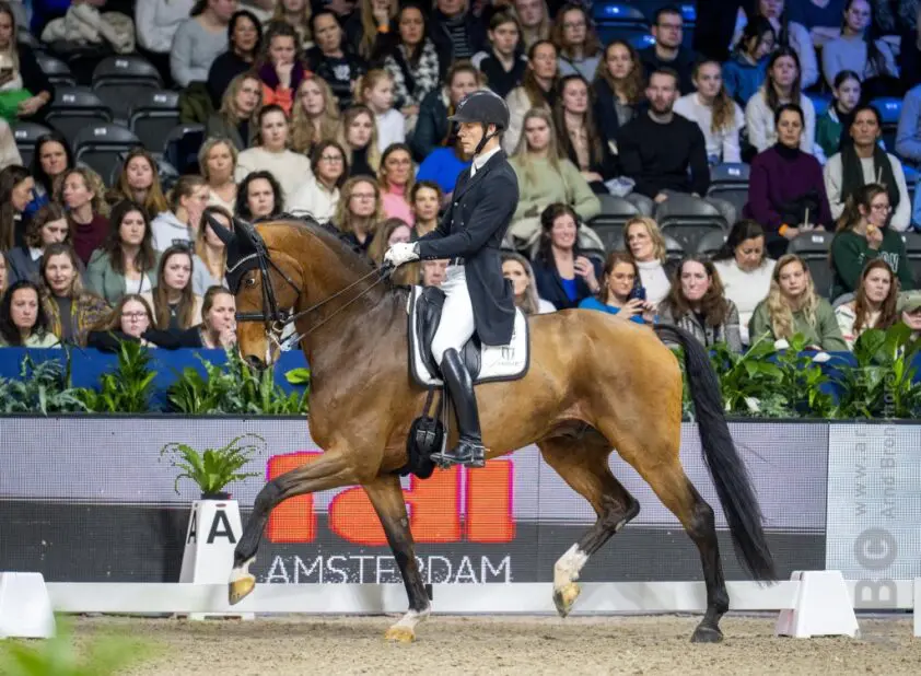 Nieuw Grand Prix-paard voor Daniel Bachmann Andersen featured image