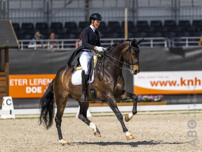 Dominique Filion en The Boss naar winst in GPS Neustadt Dosse featured image