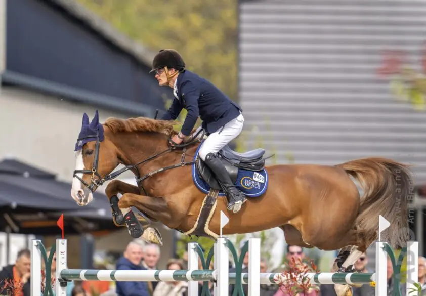 Ten Cate en Bergs op het podium in 1.40m Peelbergen featured image
