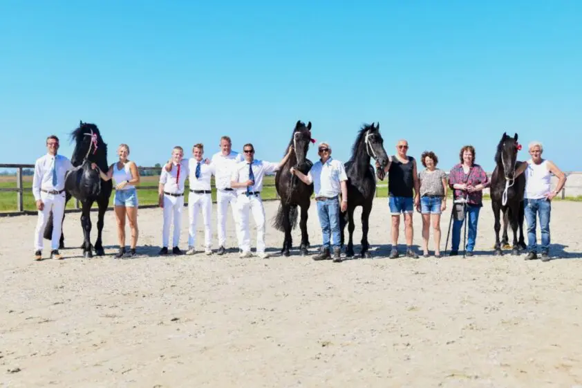 Vier keer ster bij Stal Henswoude, Nane topleverancier featured image