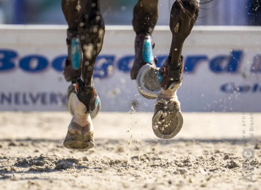 Rogier Linsen en Moneypenny derde in CSIO3* 1.50m in Vejer de la Frontera featured image