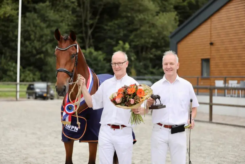 CK Flevoland: Kampioenen van Expression, Noble Prince Norel, Gullit HBC en Eldorado van de Zeshoek TN featured image