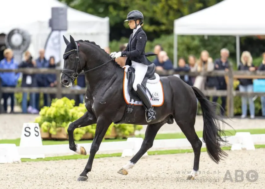 Charlotte Fry klasse apart met Nalegro en O’Frederic: ‘Super dat de training beloond wordt’ featured image