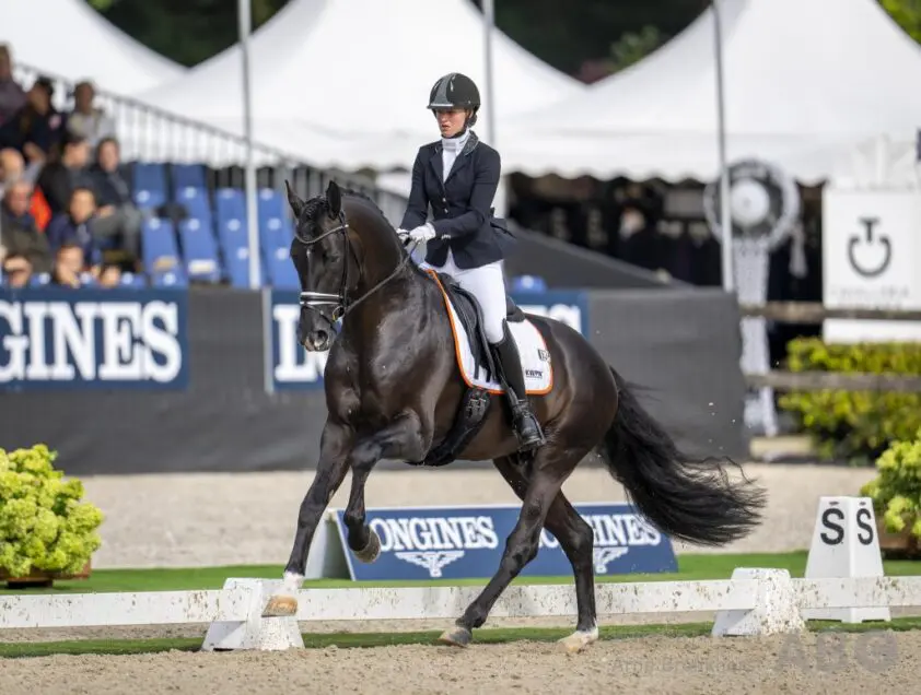 Alle Subtopuitslagen op rij: week 15 featured image