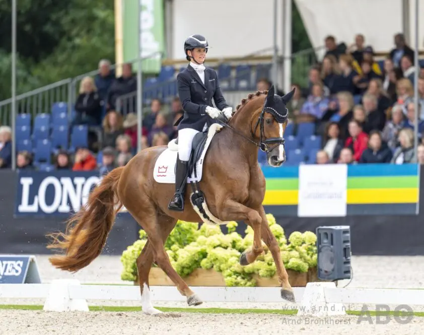 Wereldkampioene Quinn G verder onder Charlotte Dujardin featured image