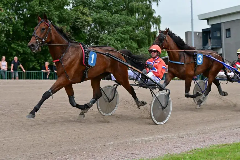 Rick Ebbinge voor tweede keer Wereldkampioen Pikeurs featured image