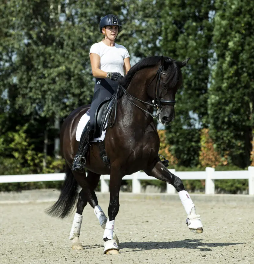 Glory Days van Emmelie Scholtens verkocht naar Zwitserland featured image