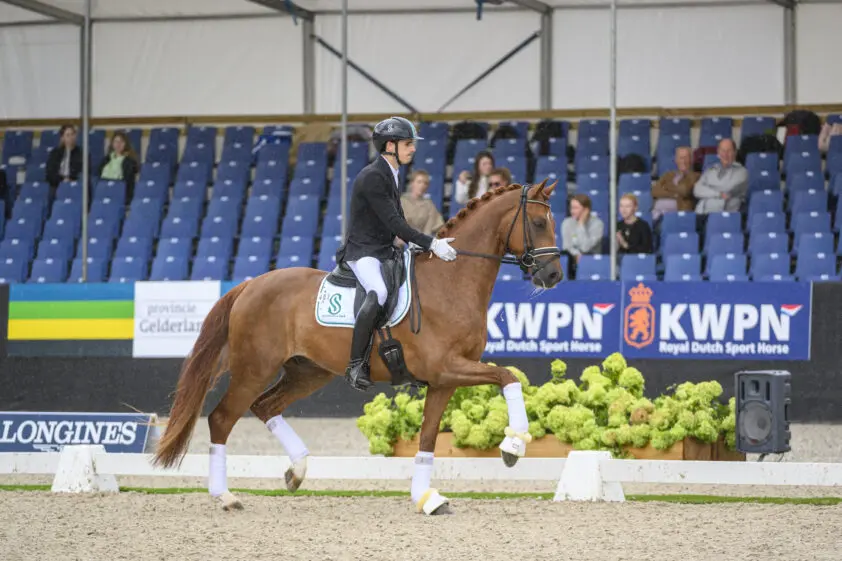 Vital Hit wint kleine finale vierjarigen, Oasis SDWH derde featured image