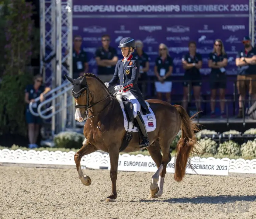 Dujardin met Imhotep naar 79,891% in GP Wellington, Hester tweede en derde featured image