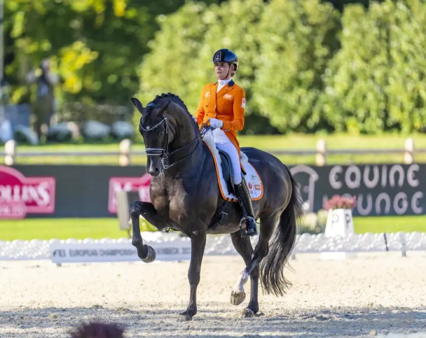 Grand Prix Spécial als eerste onderdeel NK Dressuur senioren featured image