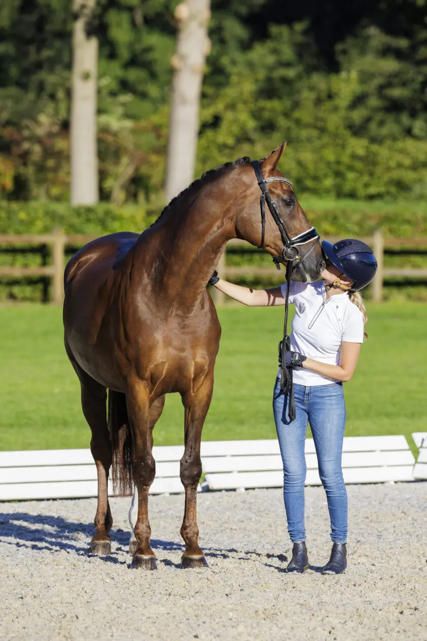 EK Riesenbeck: Nederlandse dressuurpaarden door vetcheck, twee paarden naar herkeuring featured image