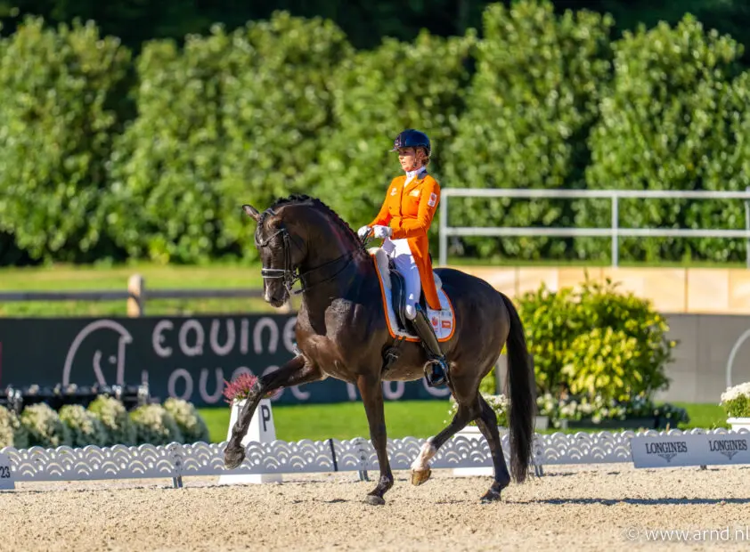 Road to Paris 2024: het Nederlandse dressuurteam featured image
