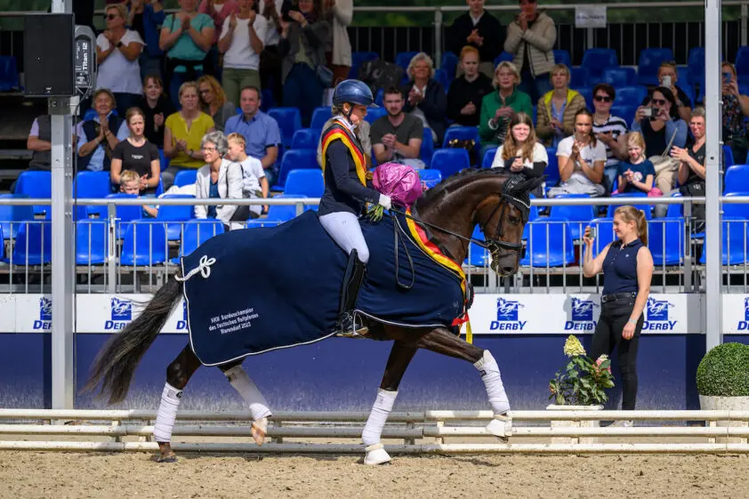 Barbor BS overtuigende kampioene driejarige merries en ruinen featured image