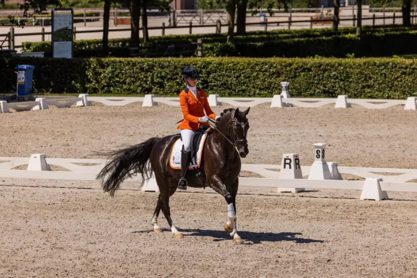 Dominique van Dalsens EK-pony Zky verkocht: ‘Heel erg dubbel’ featured image