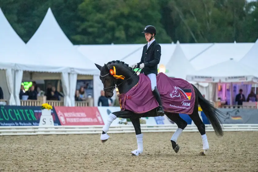 Global Hope Bundeskampioen driejarige hengsten met 9,5 gemiddeld featured image