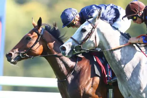 Warm Heart wint Group I Qatar Prix Vermeille featured image