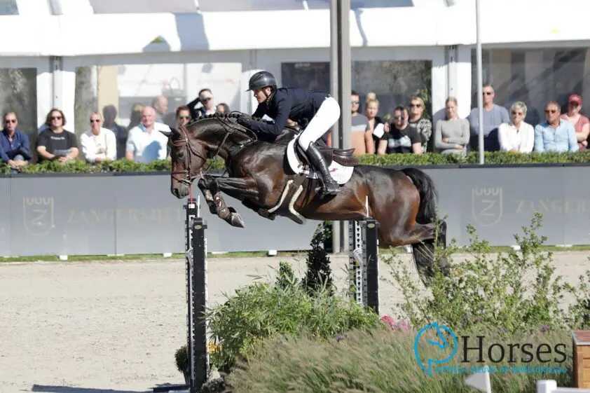 Eckermann en Von Eckermann vooraan in Winning Round, Michael Greeve derde in Maastricht featured image
