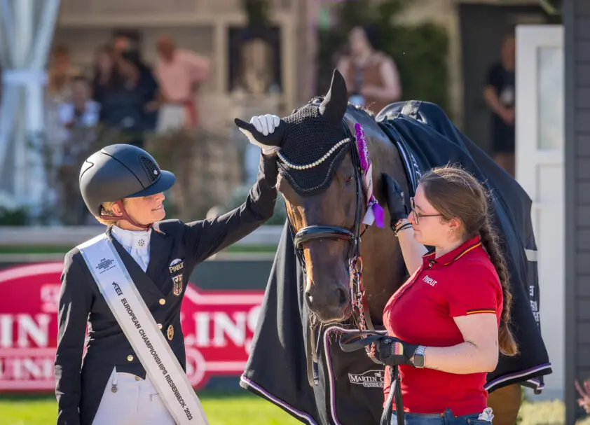 Olympisch kampioen TSF Dalera BB drachtig featured image