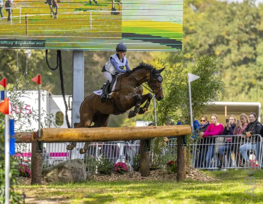 Nederlands gefokte Izilot DHI aan de leiding in Badminton featured image