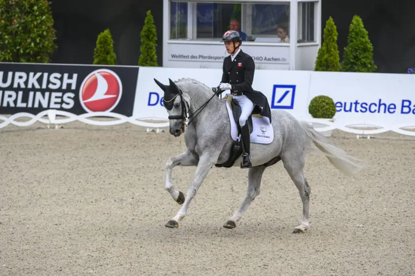 GPS Herning naar Helgstrand junior met KWPN’er Inspiration PF featured image