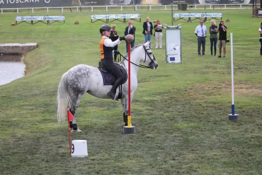 Nederland doet het goed op EK Working Equitation: drie medailles featured image