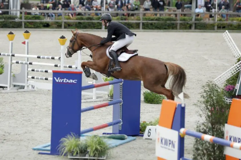 WBFSH Valkenswaard: KWPN bovenaan bij zevenjarige paarden featured image