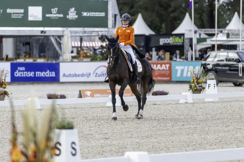 Military Boekelo: Sanne de Jong beste Nederlandse na eerste dressuurdag featured image