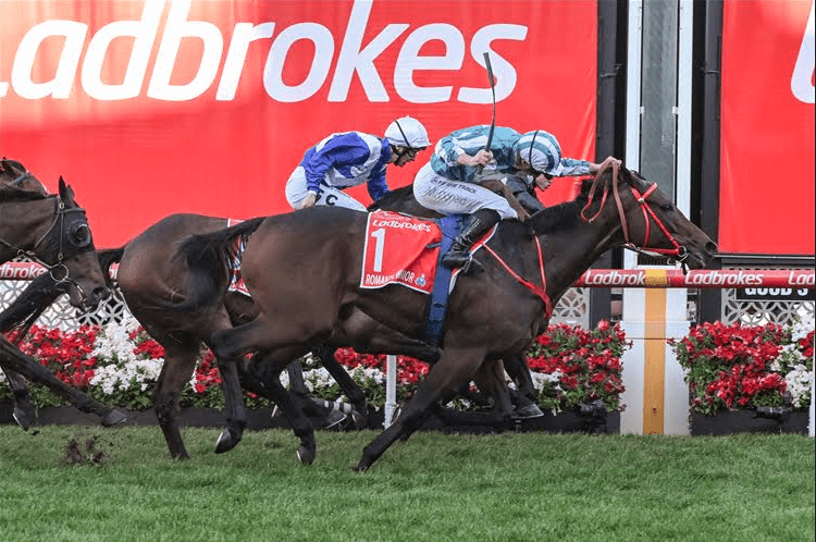 Romantic Warrior wint de met 3,2 miljoen euro gedoteerde Ladbrokes Cox Plate featured image