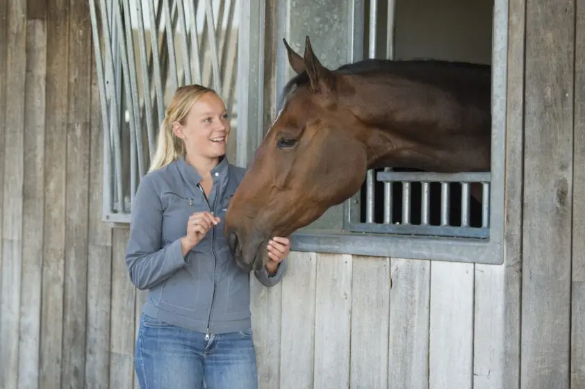 Van start als hippisch ondernemer featured image