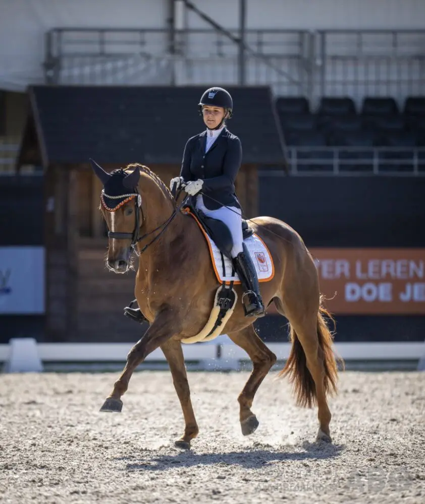 Demi Haerkens wint kür KNHS Para Dressuur Trophy in Kronenberg featured image