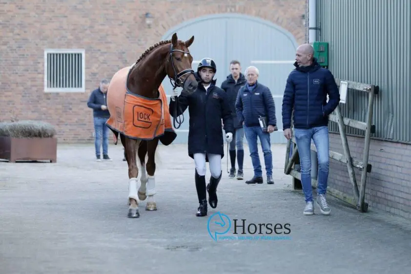 KWPN VO: Negen dressuurhengsten van start featured image