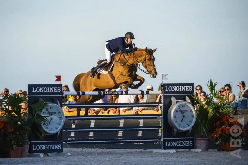 26.700 euro voor embryo van Untouchable x Nabab de Rêve featured image