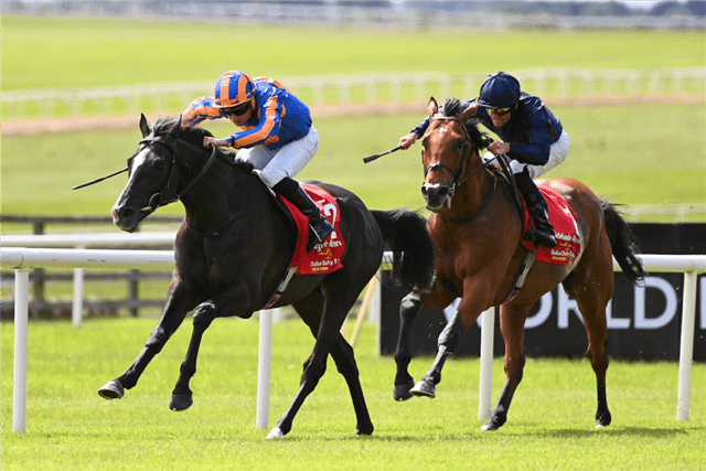 Favorieten winnen de klassiekers van de Breeders Cup rennen featured image