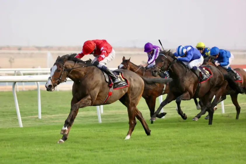 Spirit Dancer wint de Bahrain International Trophy 2023, vier zeges voor Adrie de Vries featured image