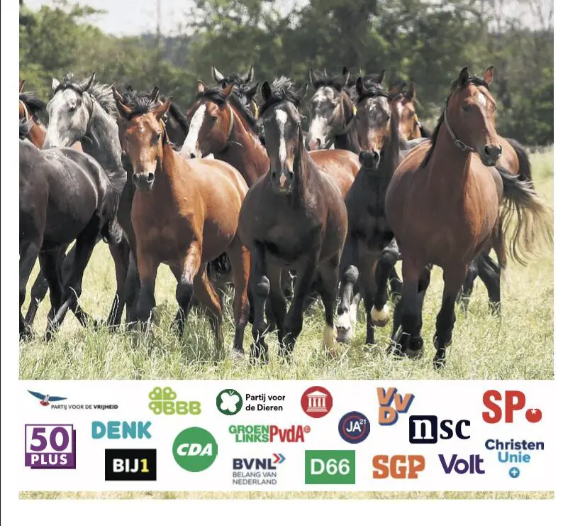 Wat willen de politieke partijen met dierenwelzijn? featured image
