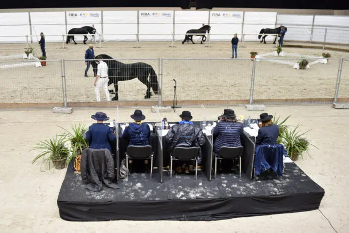 Bovengemiddeld sterpercentage op KFPS eerste bezichtiging featured image