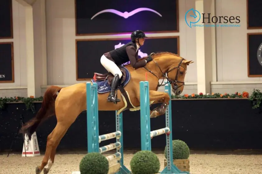 HC Vragender: Acht vierjarigen dubbel foutloos featured image