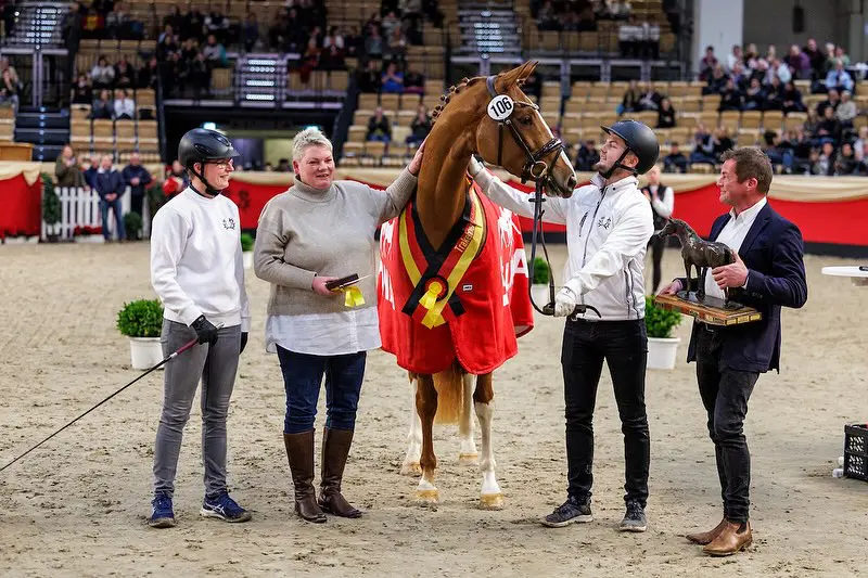 Fellini-dochter Rose la France Trakehner merriekampioene 2024 featured image