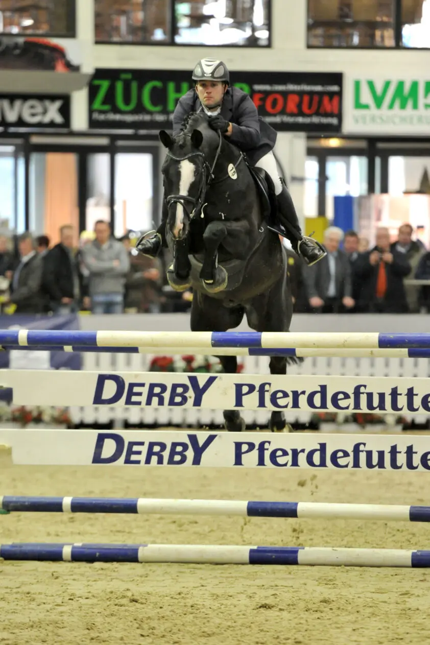 Hirtentanz is Trakehner Hengst van het Jaar featured image