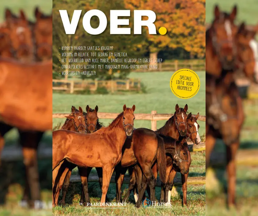 Speciaal voor Horses Premium-abonnees: korting op VOER.2023 featured image