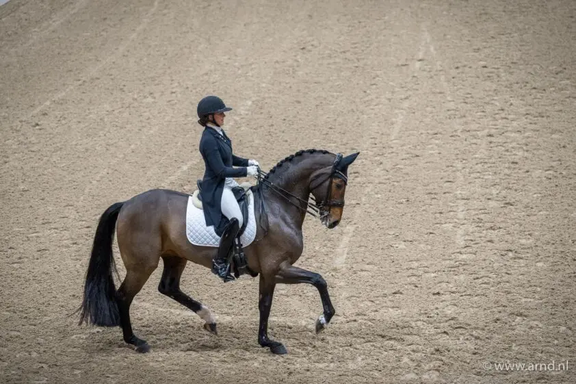 GP Kronenberg: Dufour en Freestyle in één klap medaillekandidaat Parijs, Van Baalen derde featured image