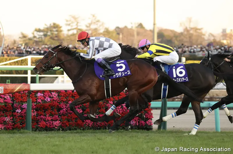 Do Deuce wint laatste Group I ren dit jaar: de met 8.283.000 dollar gedoteerde Arima Kinen featured image