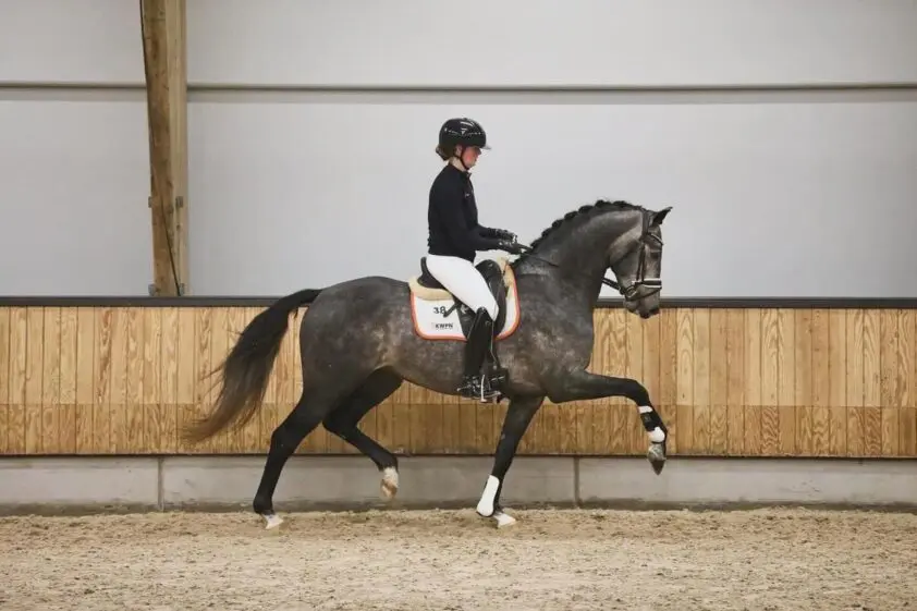 Yolien van Maasacker: ‘Bijzonder om het gehele traject van Proud James mee te maken’ featured image