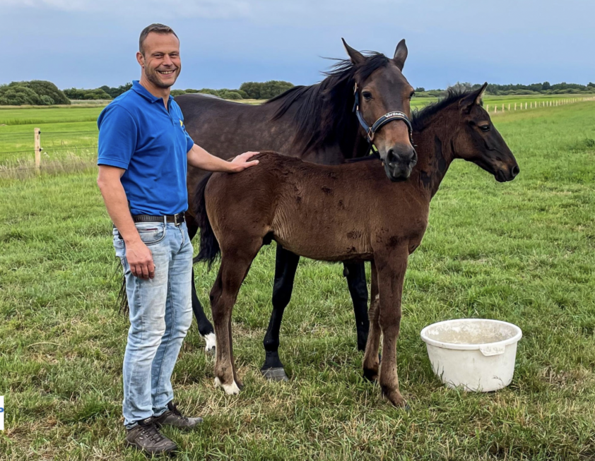 Nederland is een Europees specialist in paardensportgeneeskunde en -revalidatie rijker featured image